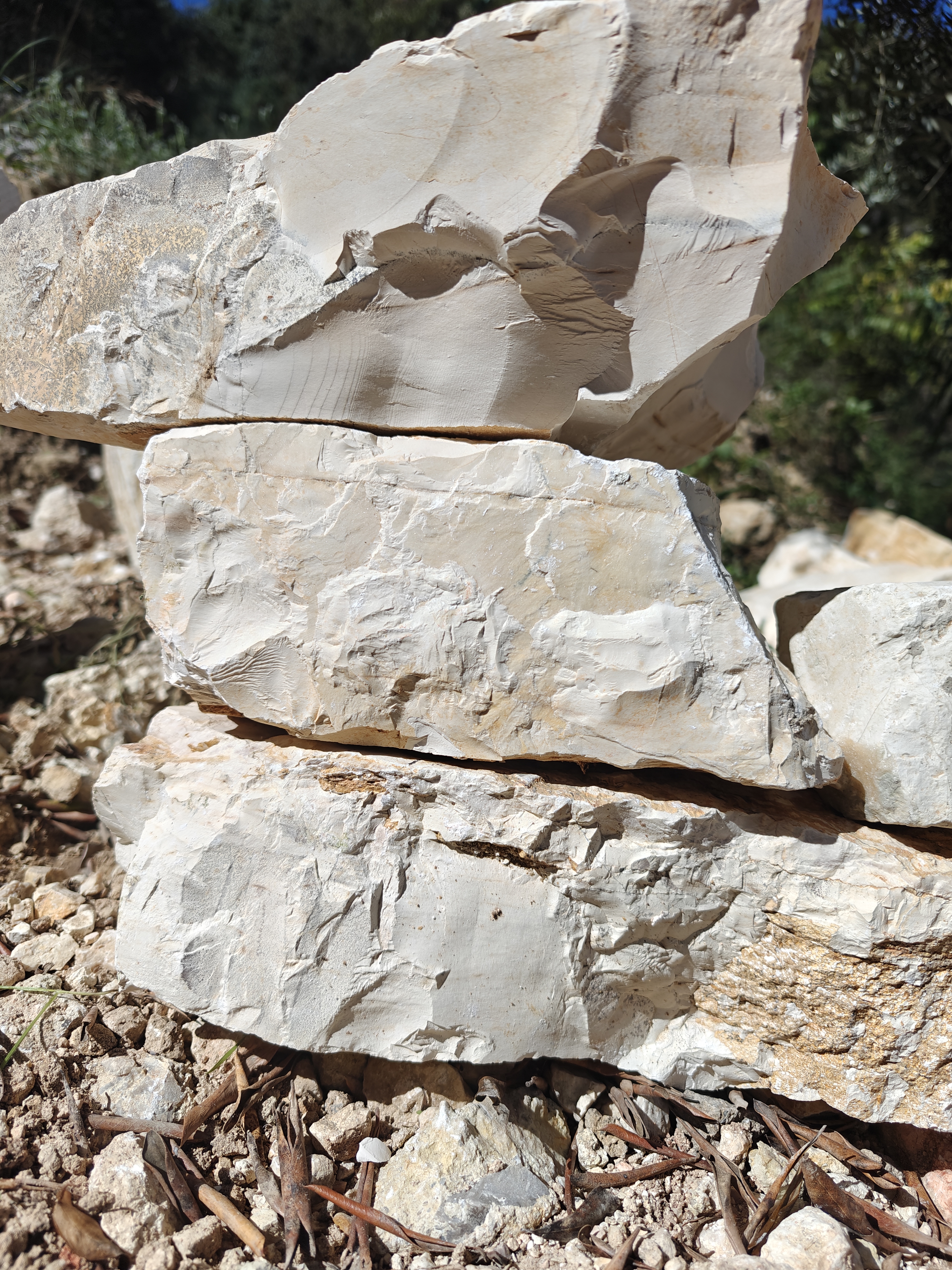 Perithia limestone
